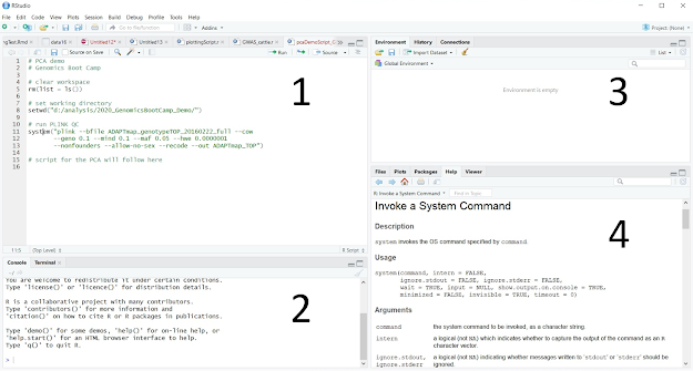 The layout of R Studio: 1. Script editor; 2. R console; 3. Environment; 4. Help and graphs