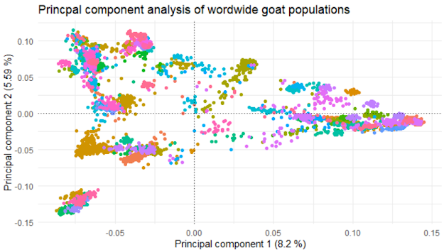 Results of the PCA analysis